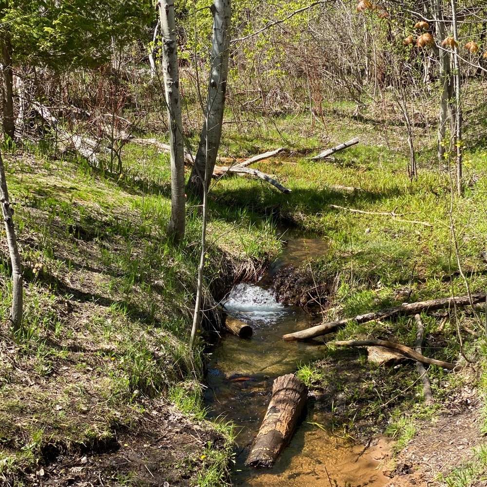 Meet your Posher, Justin